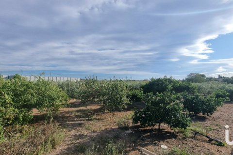 Купить дом в Виньольс-и-эльс-Арк, Испания с 6 спален, 176м², № 5101 - фото 7