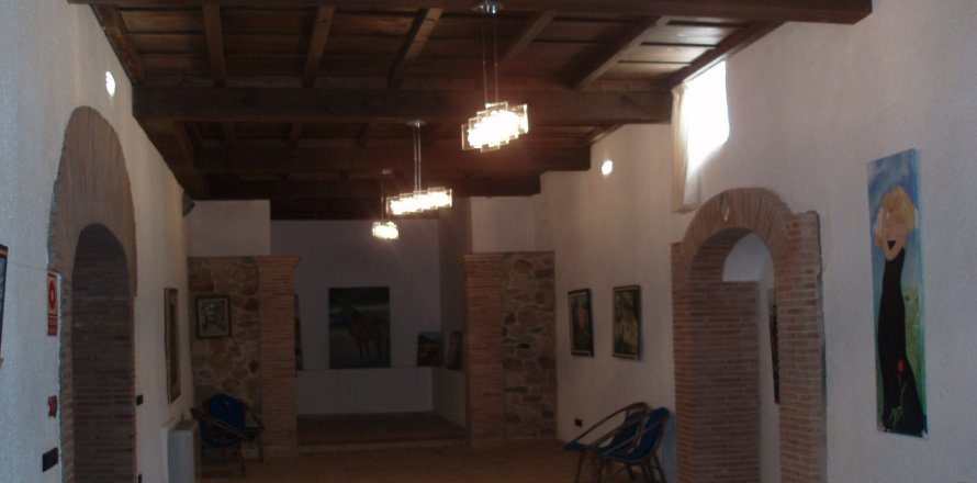 Замки и поместья с 16 спальнями в Розы, Герона, Каталония, Испания № 863