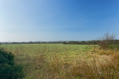 Земельный участок в Гарригасе, Герона, Каталония, Испания № 2483