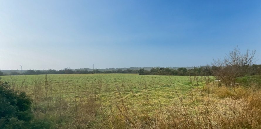 Земельный участок в Гарригасе, Герона, Каталония, Испания № 2483