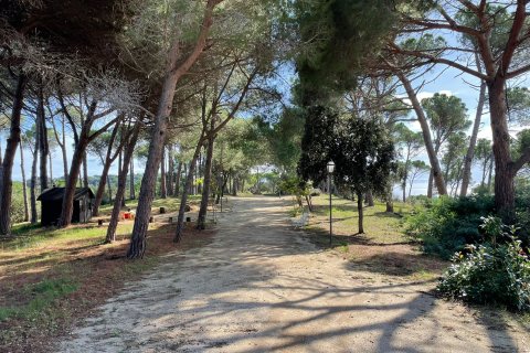 Сasa de 10 dormitorios en venta en Arenys de Munt, Barcelona, Cataluña, Spain № 1485 - foto 8