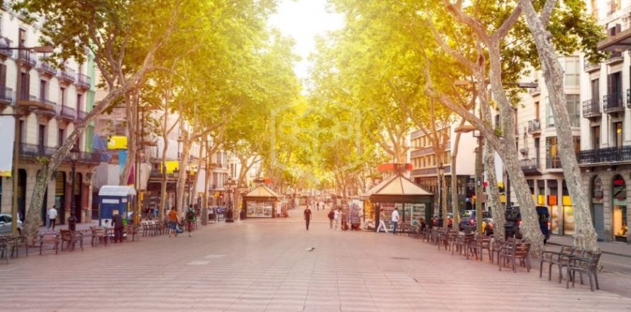 Коммерческая недвижимость 956м² в Барселоне, Каталония, Испания № 911