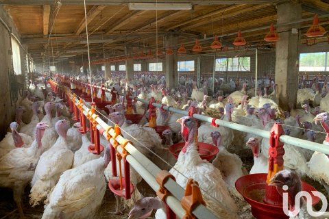 Купить земельный участок в Мас де Барберанс, Испания 18627м², № 5058 - фото 16