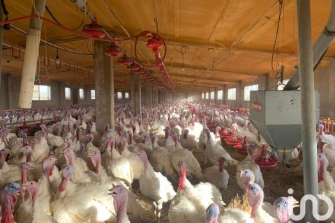 Купить земельный участок в Мас де Барберанс, Испания 18627м², № 5058 - фото 17