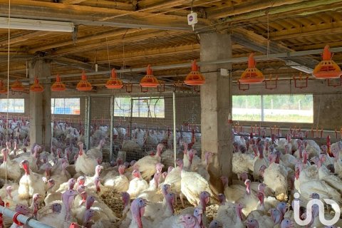 Купить земельный участок в Мас де Барберанс, Испания 18627м², № 5058 - фото 14