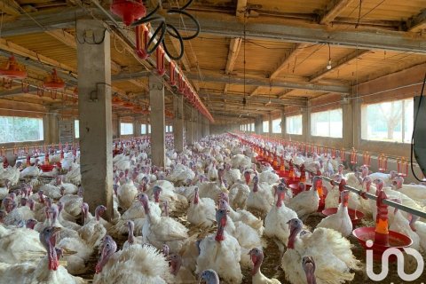 Купить земельный участок в Мас де Барберанс, Испания 18627м², № 5058 - фото 7