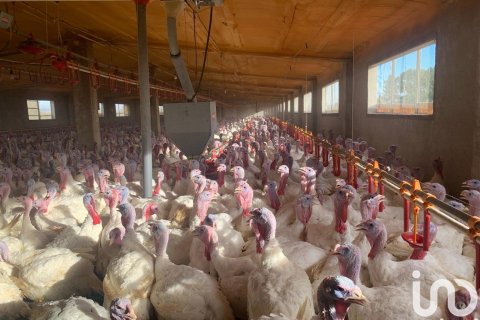 Купить земельный участок в Мас де Барберанс, Испания 18627м², № 5058 - фото 26