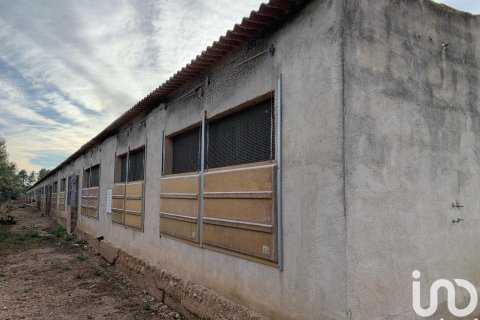 Земельный участок 18627м² в Мас де Барберансе, Таррагона, Каталония, Испания № 5058