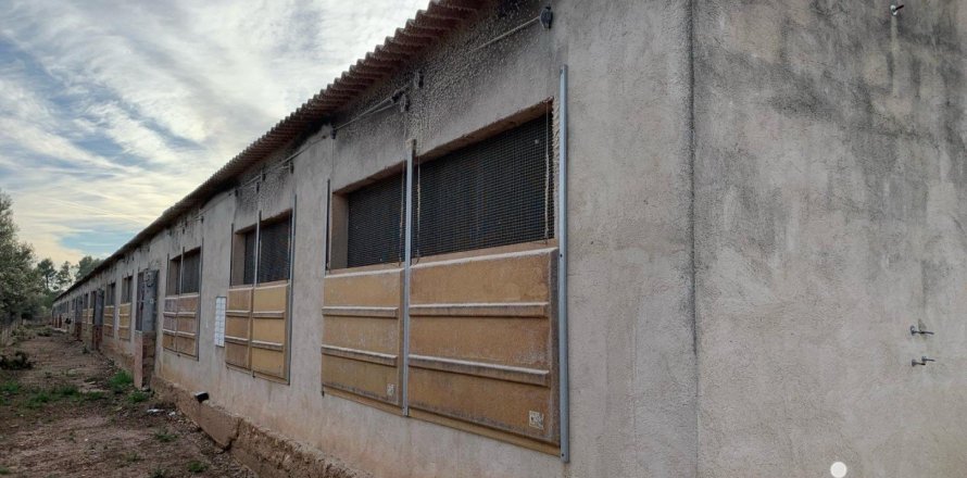 Земельный участок 18627м² в Мас де Барберансе, Таррагона, Каталония, Испания № 5058