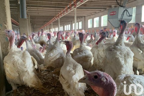 Купить земельный участок в Мас де Барберанс, Испания 18627м², № 5058 - фото 21