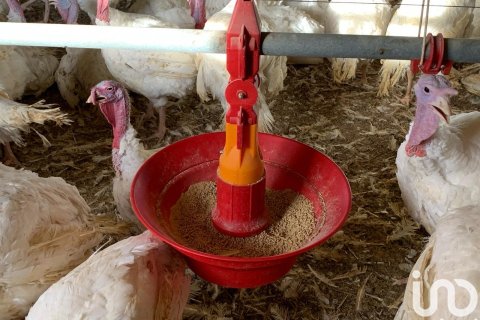 Купить земельный участок в Мас де Барберанс, Испания 18627м², № 5058 - фото 11