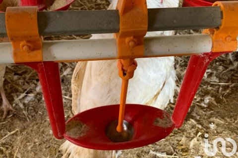 Купить земельный участок в Мас де Барберанс, Испания 18627м², № 5058 - фото 13