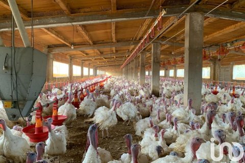 Купить земельный участок в Мас де Барберанс, Испания 18627м², № 5058 - фото 4