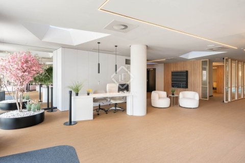 Купить квартиру в Эсплугес-де-Льобрегат, Испания с 3 спальни, 111м², № 4254 - фото 15