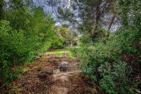 Купить земельный участок в Серданьола-дель-Вальес, Испания 2000м², № 7970 - фото 12