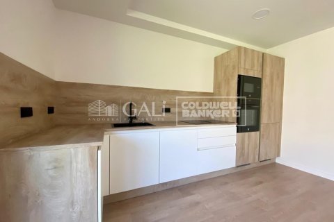 Снять в аренду квартиру в Андорра, Испания с 3 спальни, 120м², № 7685 - фото 27