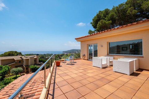 Купить дом в Льяфранк, Испания с 5 комнат, № 1597 - фото 3