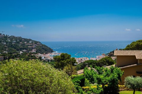 Купить дом в Льяфранк, Испания с 5 комнат, № 1597 - фото 28