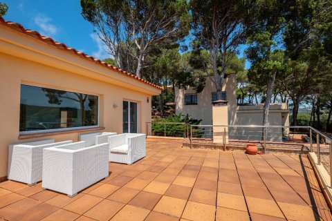 Купить дом в Льяфранк, Испания с 5 комнат, № 1597 - фото 26