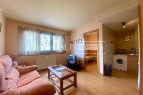2 bedrooms apartment for rent in Principado De Andorra (Ninguna Poblacion Tiene C.P.), Lleida, Catalonia, Spain № 5267 - photo 5