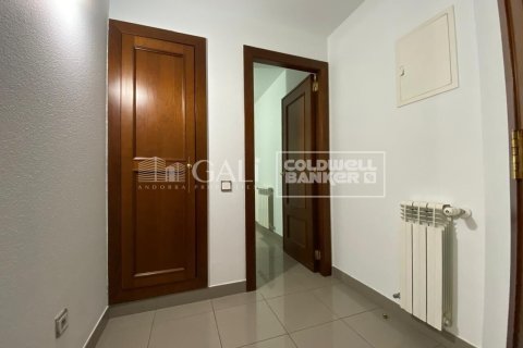 3 chambres apartment à louer à Principado De Andorra (Ninguna Poblacion Tiene C.P.), Lleida, Catalonia, Spain № 5270 - photo 25