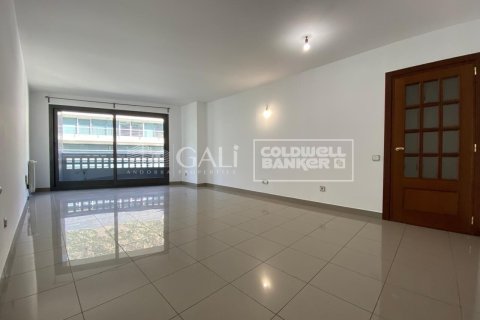 3 chambres apartment à louer à Principado De Andorra (Ninguna Poblacion Tiene C.P.), Lleida, Catalonia, Spain № 5270 - photo 2