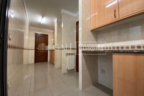 3 chambres apartment à louer à Principado De Andorra (Ninguna Poblacion Tiene C.P.), Lleida, Catalonia, Spain № 5270 - photo 6