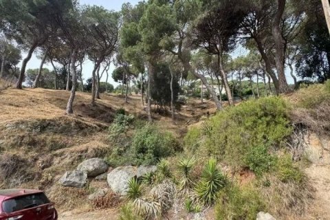 land plot à vendre à Premia De Dalt, Barcelona, Catalonia, Spain № 3630 - photo 4