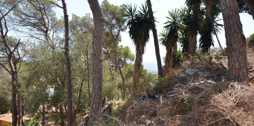 land plot à vendre à Premia De Dalt, Barcelona, Catalonia, Spain № 3630