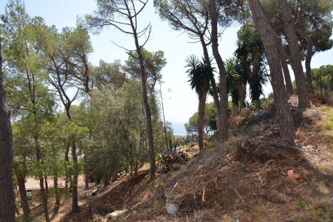 land plot à vendre à Premia De Dalt, Barcelona, Catalonia, Spain № 3630 - photo 10