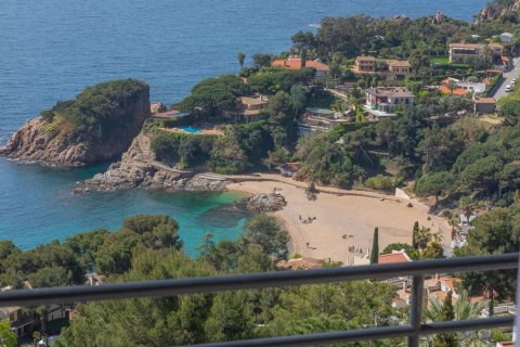 Купить дом в Бланес, Испания с 6 комнат, 350м², № 6193 - фото 6