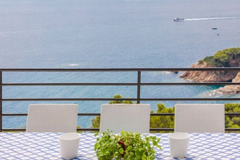 Купить дом в Бланес, Испания с 6 комнат, 350м², № 6193 - фото 9