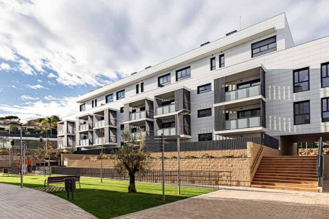 Els Ametllers в Барселоне № 252