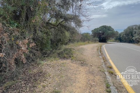 Купить земельный участок в Льорет-де-Мар, Испания 1076м², № 995 - фото 3