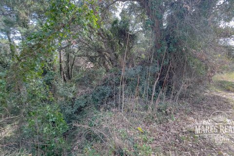 Купить земельный участок в Льорет-де-Мар, Испания 1076м², № 995 - фото 4