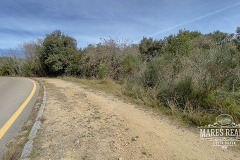 Земельный участок 1076м² в Льорет-де-Мар, Герона, Каталония, Испания № 995