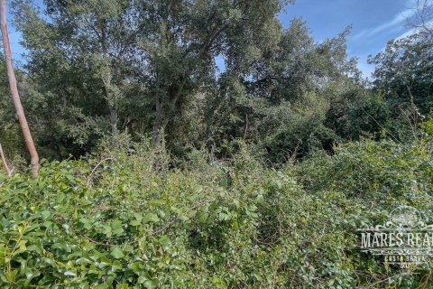 Купить земельный участок в Льорет-де-Мар, Испания 1076м², № 995 - фото 6