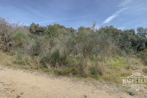 Купить земельный участок в Льорет-де-Мар, Испания 1076м², № 995 - фото 2