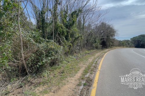 Купить земельный участок в Льорет-де-Мар, Испания 1076м², № 995 - фото 5