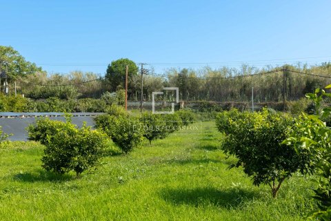 13 chambres villa à vendre à Arenys de Mar, Barcelona, Catalonia, Spain № 3797 - photo 25
