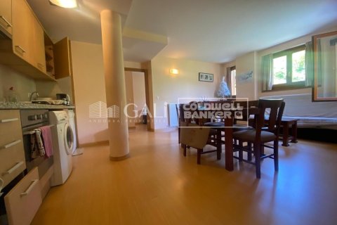 2 bedrooms apartment for sale in Principado De Andorra (Ninguna Poblacion Tiene C.P.), Lleida, Catalonia, Spain № 5345