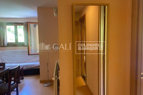 2 bedrooms apartment for sale in Principado De Andorra (Ninguna Poblacion Tiene C.P.), Lleida, Catalonia, Spain № 5345 - photo 17