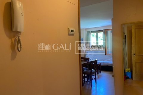 2 bedrooms apartment for sale in Principado De Andorra (Ninguna Poblacion Tiene C.P.), Lleida, Catalonia, Spain № 5345 - photo 16