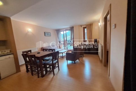 1 bedroom apartment for sale in Principado De Andorra (Ninguna Poblacion Tiene C.P.), Lleida, Catalonia, Spain № 5344