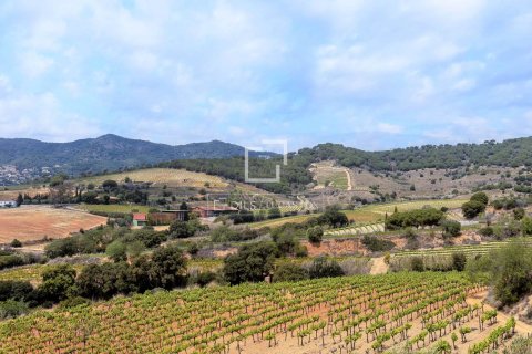 Купить виллу в Тейя, Испания с 7 спален, 788м², № 4371 - фото 23