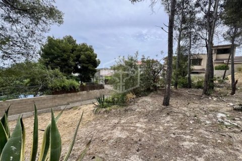 Купить земельный участок в Ситжес, Испания № 1094 - фото 4