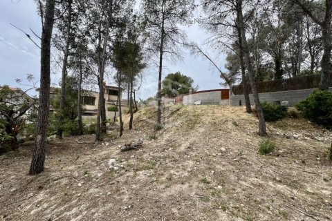 Купить земельный участок в Ситжес, Испания № 1094 - фото 5