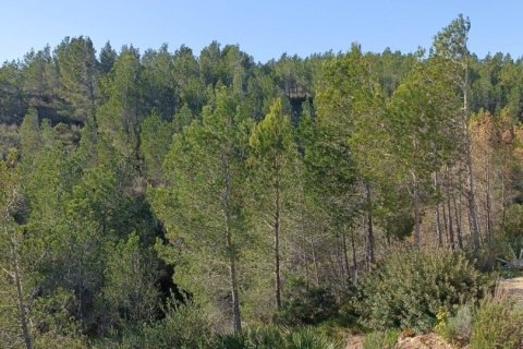 Купить дом в Л'Аметлья-де-Мар, Испания с 4 спальни, 200м², № 4961 - фото 19