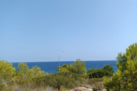 Купить земельный участок в Л'Аметлья-де-Мар, Испания 4000м², № 4997 - фото 2