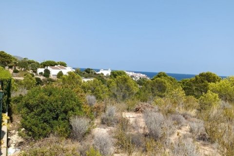 Купить земельный участок в Л'Аметлья-де-Мар, Испания 4000м², № 4997 - фото 3